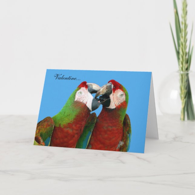 Parrot Valentine Card Feiertagskarte (Vorderseite)