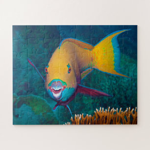 Parrotfish - auffallendes Make-up! Farbiges Foto