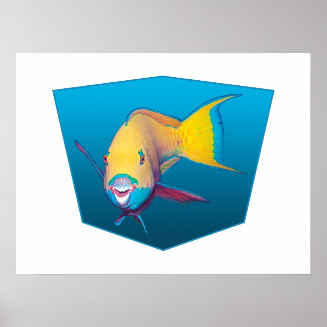Parrotfish - blauer Hintergrund mit Designgradient Poster (Vorne)