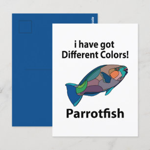 Parrotfish Postkarte
