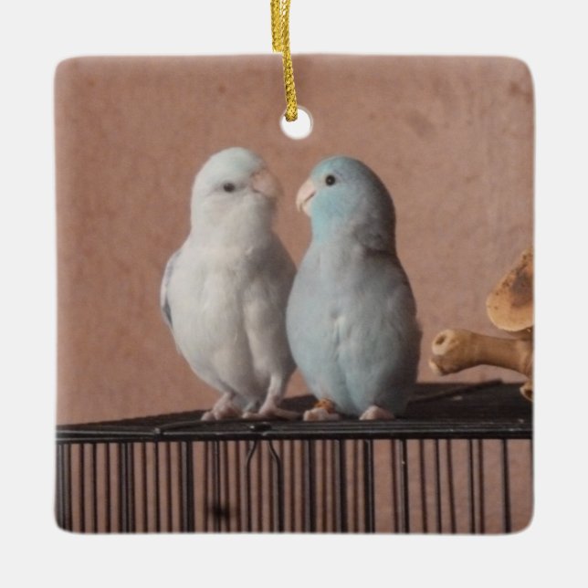 Parrotlet Pair Keramikornament (Vorderseite)