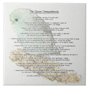 Parrotlets elf Demandments Fliese