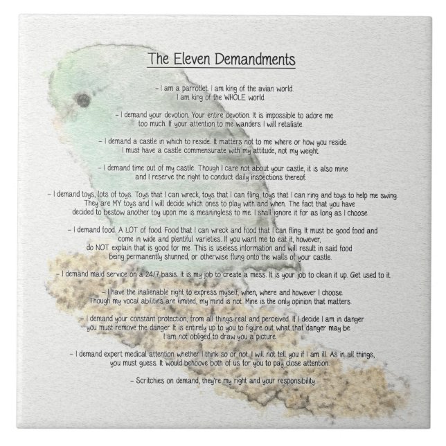 Parrotlets elf Demandments Fliese (Vorderseite)