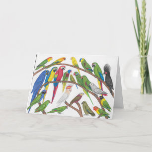 parrots la carte de voeux