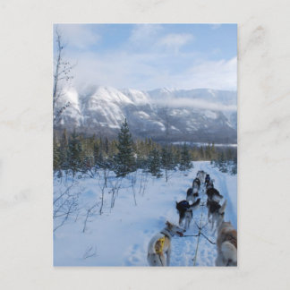 ParrotSleds - Landschaft Postkarte