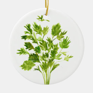 Parsley Kraut Aquarell Grüne Natur botanisch Keramikornament