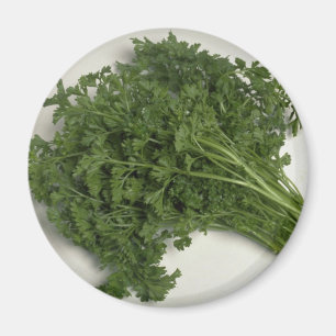 Parsley Magnet