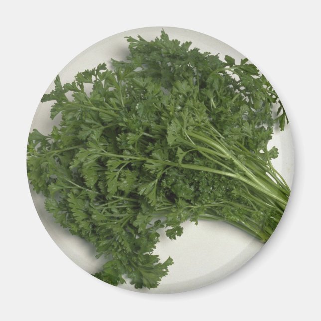 Parsley Magnet (Vorne)