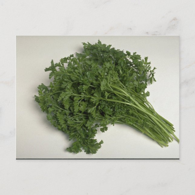 Parsley Postkarte (Vorderseite)