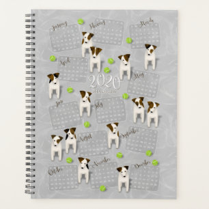 Parson Jack Russell Terriers gris calendrier 2020