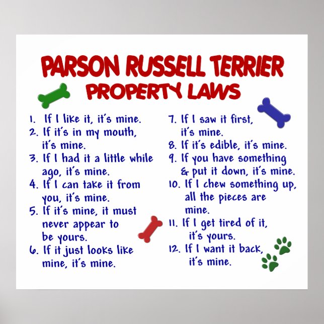 PARSON RUSSELL TERRIER PL2 POSTER (Vorne)