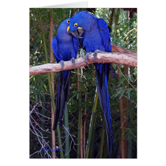 Partage de secrets (Devant)