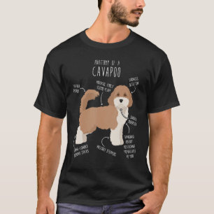 Parti Cavapoo Dog Anatomie Niedlicher Cavaodle Pet T-Shirt