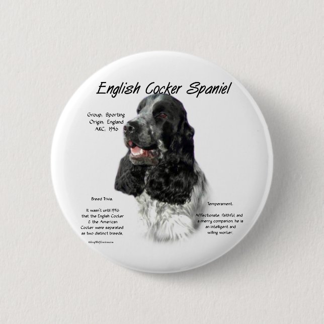 Parti English Cocker Spanische Geschichte Button (Vorderseite)