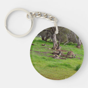 Parti Kangaroo Stwood,