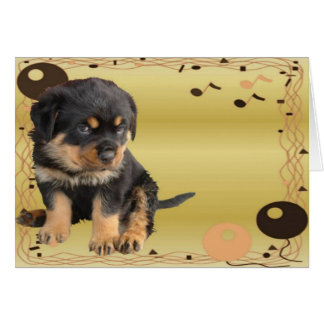 Parti Retro Rottweiler