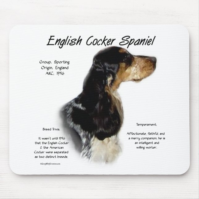 Parti Roan English Cocker Spanische Geschichte Mousepad (Vorne)