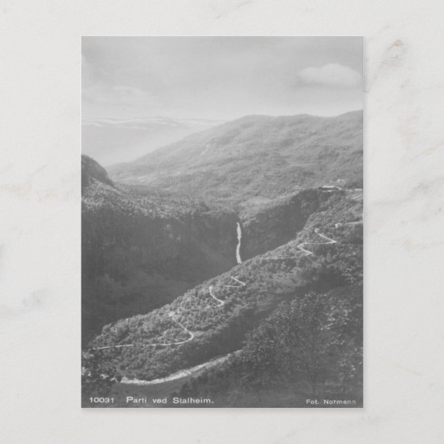 Parti Ved Stalheim Vintag Postkarte (Vorderseite)