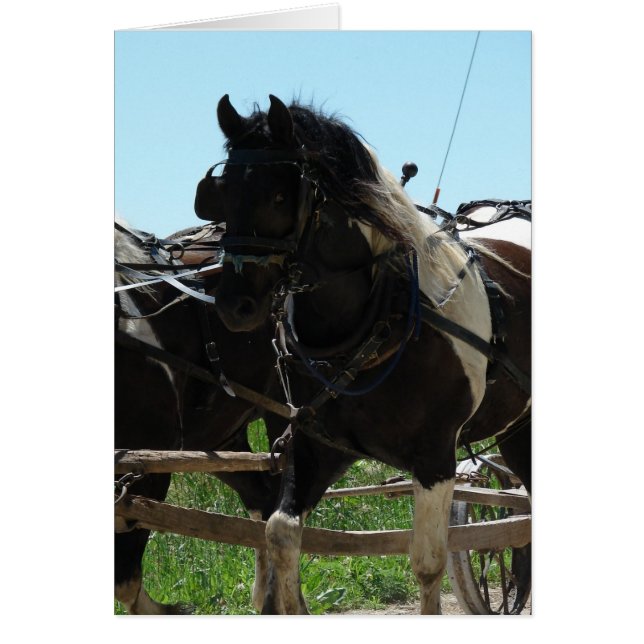 Partie d'une équipe (Devant)