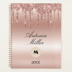 Parties scintillant de séchage Rose floue brillant
