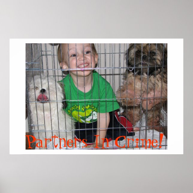 Partner in der Kriminalität! Poster (Vorne)