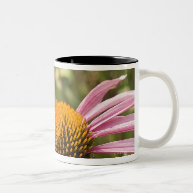 Partnerschaft, symbiotisch, helfend Schönheit, Zweifarbige Tasse (Rechts)