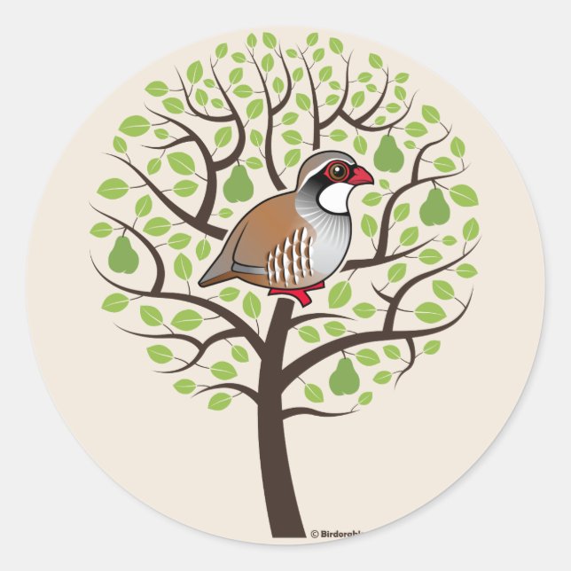 Partridge in einem Birnenbaum Runder Aufkleber (Vorderseite)