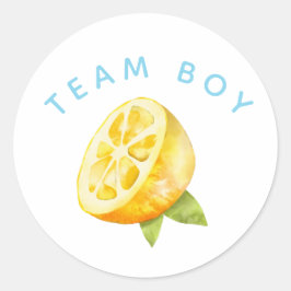 Party-Abstimmung im Team Boy Gender Reveal Runder Aufkleber