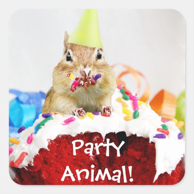Party Animal Chipmunk-Aufkleber Quadratischer Aufkleber (Vorderseite)