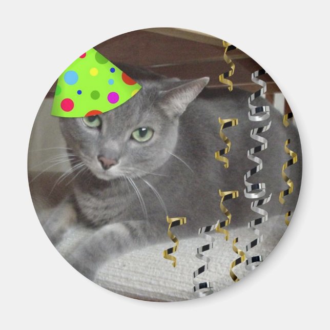 Party Animal Grey Cat Magnet (Vorne)