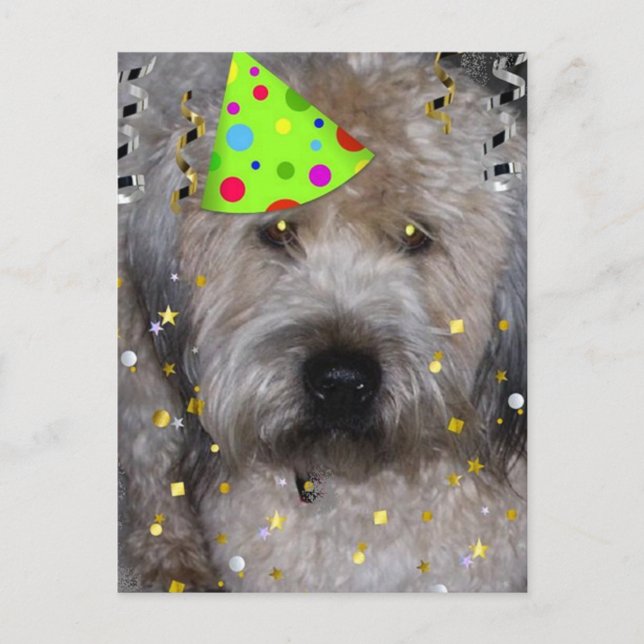 Party Animal Wheaton Terrier Postkarte (Vorderseite)