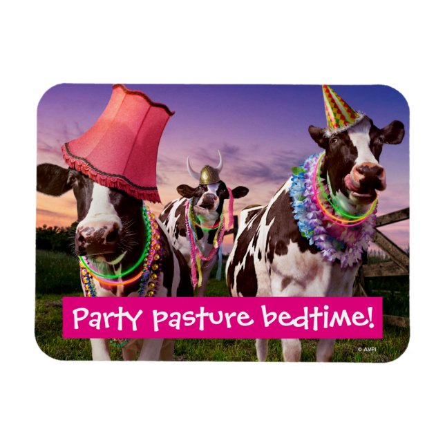 Party 'bis die Kühe kommen Zuhause Magnet (Horizontal)