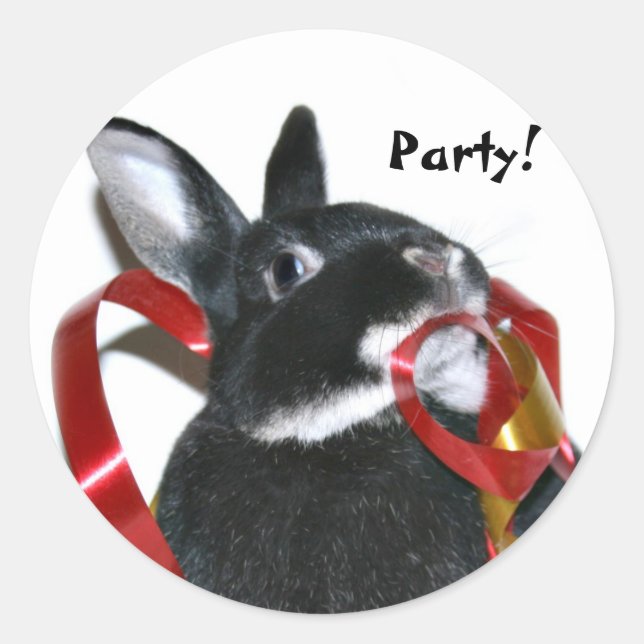 Party Bunny Runder Aufkleber (Vorderseite)