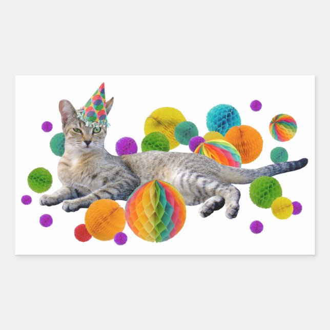 Party Cat Sticker (Vorderseite)