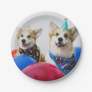 Party Corgis Paper Teller