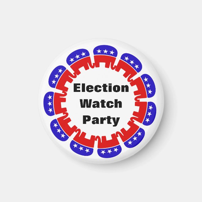 Party der republikanischen Wahlbeobachtungsmission Magnet (Vorne)