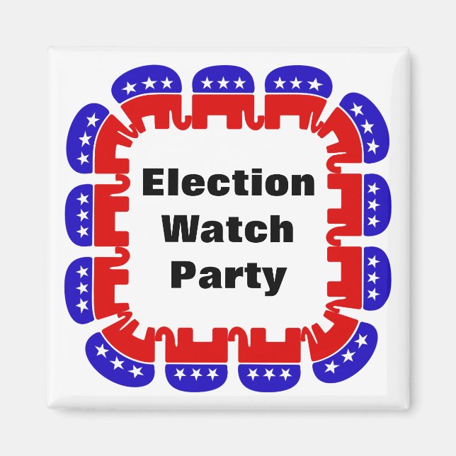 Party der republikanischen Wahlbeobachtungsmission Magnet (Vorne)