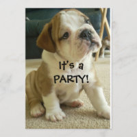 Party Einladungs-englischer Bulldoggen-Welpe