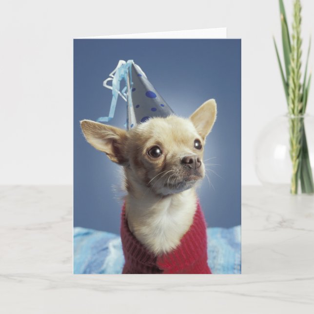Party Hund Geburtskarte Karte (Vorderseite)