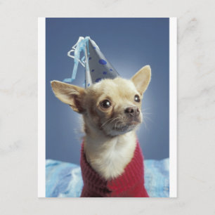 Party Hund zum Geburtstag Einladung