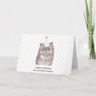 Party-Hut Persian-Katze Geburtstag Karte