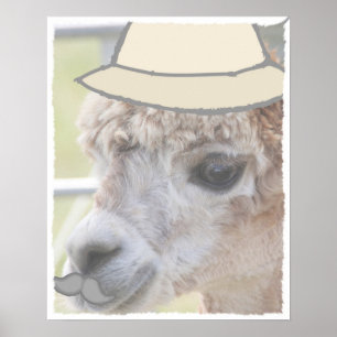 Party Llama mit Schnurrbart Poster