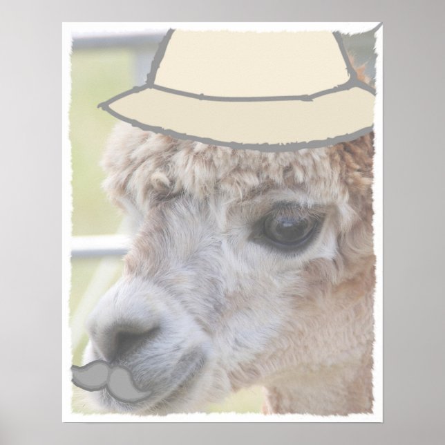 Party Llama mit Schnurrbart Poster (Vorne)