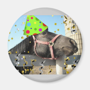 Party Magnet