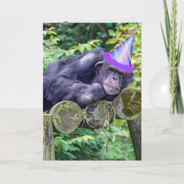 Party Schimpanse zum humorvollen Geburtstag Karte (Vorderseite)