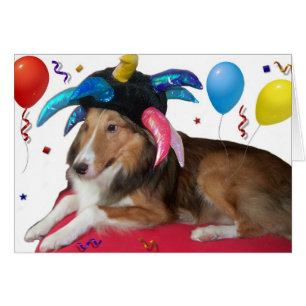 Party-Tier
