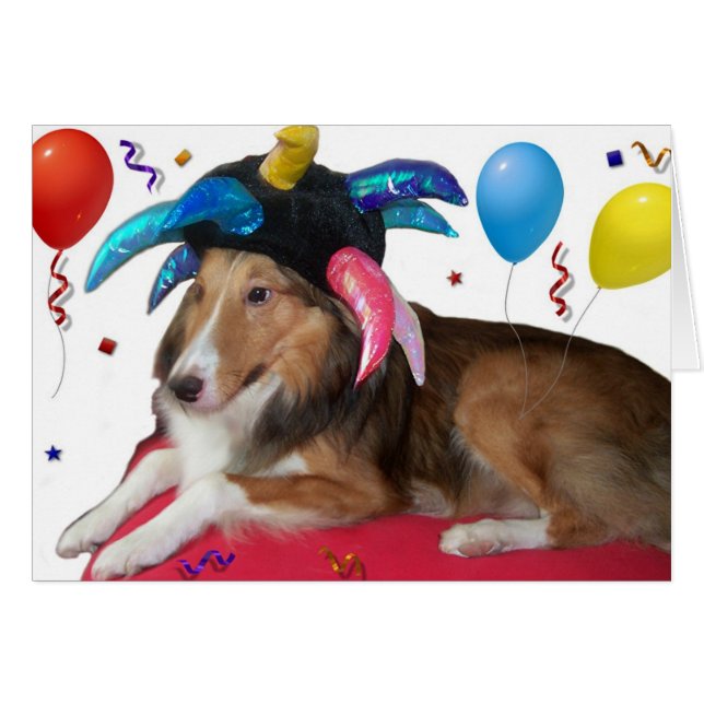 Party-Tier (Vorderseite (Horizontal))