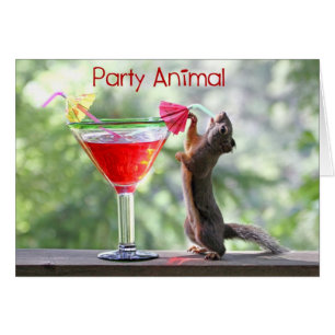 Party-Tier-Eichhörnchen