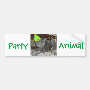 Party-Tiergraue Katze Autoaufkleber