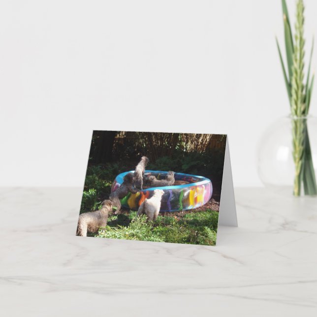 Party-Zeit! Karte (Vorderseite)